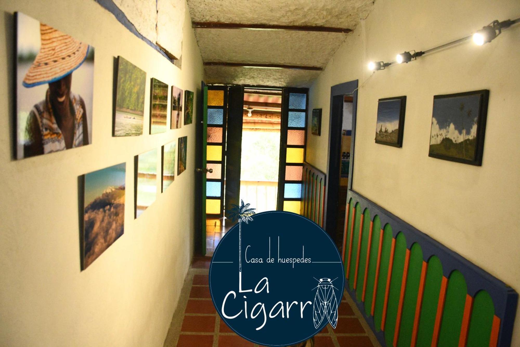 La Cigarra Casa De Huespedes Hotell Salento Exteriör bild